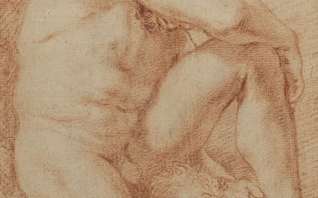 Recto/Verso DrawingANDREA PROCACCINI